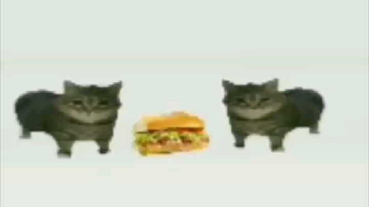 sandwic