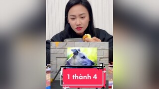 Cách biến 1 tấm ảnh thành 4 tấm  Tổng Đài trucmay tiktok funny troll hai cliphai chichiemem giadinhlaso1 idolface