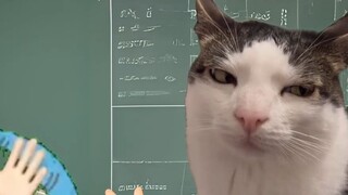 Ketika kamu dibuat pingsan oleh guru #haripelajar#melawanlangit#*uku
