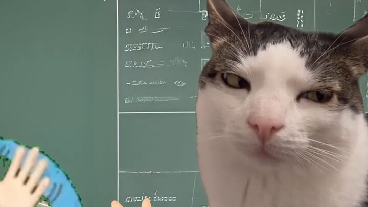 เมื่อคุณถูกครูทำให้หมดสติ #studentdays#againstthesky#catMeme