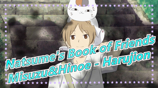 [Natsume's Book of Friends] Misuzu&Hinoe, Why No One Love This Couple - Harujion