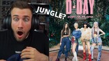 BLACKPINK ‘How You Like That’ D-DAY POSTER - REACTION