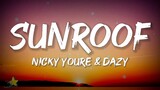 Nicky Youre, Dazy - Sunroof (Lyrics) | I got my head out the sunroof, im blasting our favorite song