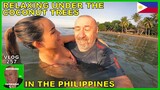 V257 - RELAXING UNDER THE COCONUT TREES IN THE PHILIPPINES - Retiring in South East Asia vlog