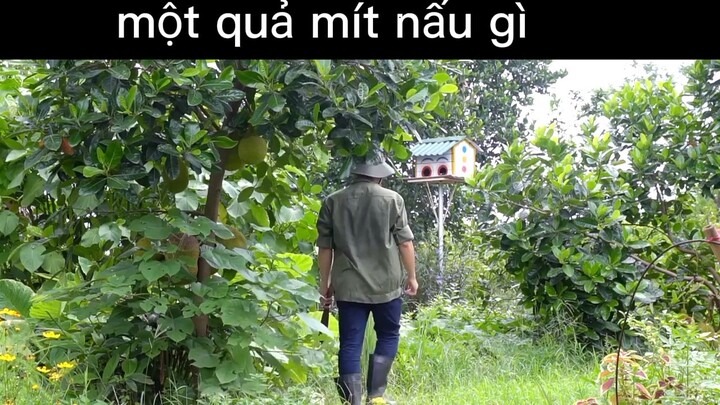 nấu ăn với vườn nhà#cooking#nauan#monngon