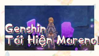 Genshin Tái Hiện Marenol