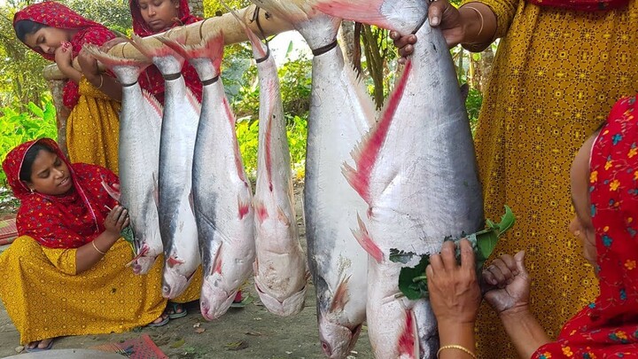 Costly Rive PANGAS Fish  - Pangasius Fish Curry Cooking in Village - Ladies Cook
