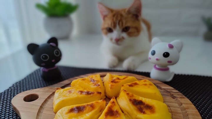 Kucing Pintar!!! Bisa di Ajak Kerja Sama | Makannya aja sambil duduk