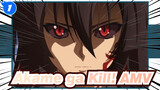 [Akame ga Kill! AMV] Ruin... Kill at One Time!_1