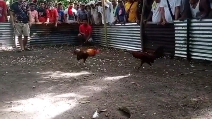 dalawa tinalo sa ruwida part 1