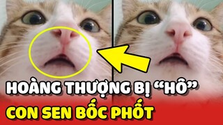 Hoàng Thượng "BỊ HÔ" suốt ngày bị Sen TRÊU CHỌC muốn trầm cảm 😂 | Yêu Lu