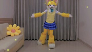 [Animal Costume Dance] Anak kucing Tuhan Tuhan menari tarian doa pada pukul dua belas di tengah mala