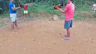 1 fight 7mos, , , pinagulong gulong kalaban , , , , ,,follow for more videos