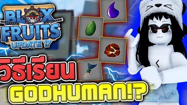 Blox Fruits UPDATE 17 (Part 3) สอนวิธีได้ท่า GODHUMAN แบบละเอียด!! และบอกจุดฟาร์มวัตถุดิบต่างๆ!