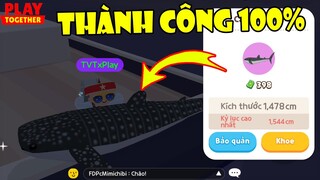 Đây Là Cách Săn Cá VIP Của TVT, Tiết Lộ Cách Săn Nhám Voi Thành Công 100% | Play Together