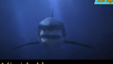 (สปอยหนัง) เมื่อฉลามยักษ์ต้องปะทะกับหุ่นยนต์ยักษ์（2/2）
