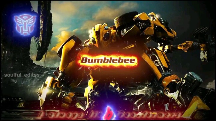 Bumblebee✌