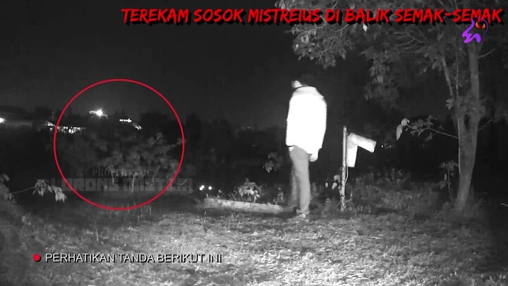 🔴 1854- SOSOK APA ITU YANG DIBALIK SEMAK-SEMAK