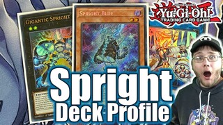 Spright / Splight Deck Profile! August 2022 Yu-Gi-Oh! Power of the Elements!