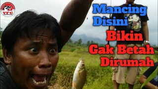 Mancing Ikan di Selokan Sawah Ini Bikin Betah Broo..