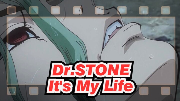 Dr.STONE|[AMV]It's My Life