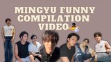 SEVENTEEN MINGYU FUNNY COMPILATION VIDEO