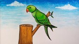 Cara menggambar dan mewarnai burung || Menggambar burung parkit