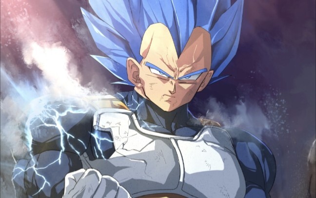 My Vegeta is the eternal god