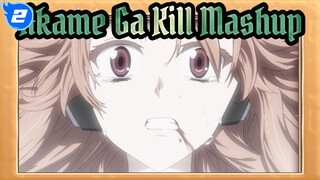 Mashup Mengharukan Selama 5 Menit Akame Ga Kill | Sedih_2