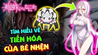 Các Hình Thái Tiến Hóa Của Bé Nhện: Từ 1 Bé Nhện Cute Thành 1 Em Gái Ngọt Nước - Anime Kumo Desu Ga