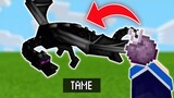 How To Ride And Tame An Ender dragon