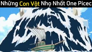 Những con vật nhọ nhất one picec