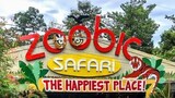 Zoobic Safari | Family Outing