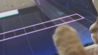 玩音游的小猫猫