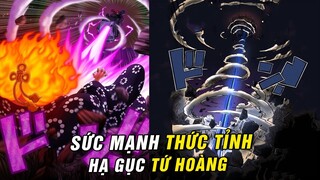 Súng điện từ , Sóng xung kích - Sức mạnh combo thức tỉnh của Kid Law hạ bệ Big Mom [ OP 1039+ ]