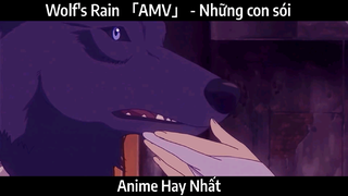 Wolf's Rain 「AMV」 - Những con sói | Hay nhất