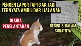 Anak Kucing Menangis Ada Yang Naro Di Basecamp Cats Lovers Tv Cuma Ninggalin Surat Dan No Tlp