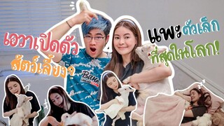 Ava's Vlog l เอวาเปิดตัวสัตว์เลี้ยงใหม่? แพะที่เล็กที่สุดในโลก!!!