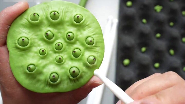 How are lotus seeds "planted" into lotus pods?