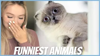 Try Not To Laugh CHALLENGE - Funniest Animals REACTION!!!