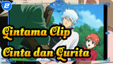 Gintama | Cinta itu Tidak Bisa Diprediksi Layaknya Gurita_2