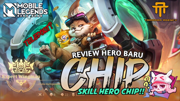 [TA] REVIEW HERO BARU CHIP!!! | SKILL TELEPORT HERO CHIP | CHIP TANK / SUPPORT - GAMEPLAY
