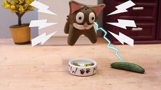 Best Scared And Startled Cats stop motion Compilation 🙀😹