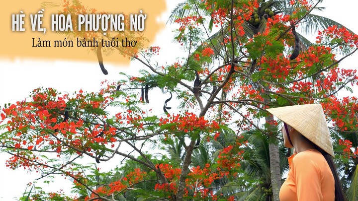 Hè về, hoa phượng nở, làm món bánh tuổi thơ - Khói Lam Chiều # 102 | Phoenix flowers bloom in summer