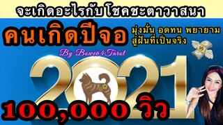 🐕คนเกิดปีจอ 🎊ดวงชะตาปี 2564 🎉SPLENDOR พยายาม มุ่งมั่น อดทน สู่ฝันที่เป็นจริง