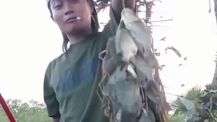 mancing mujair di sawah memang gacorrr.