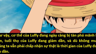 Law sẽ phẫu thuật bất tử cho Luffy_ - Giả thuyết (tiếp)