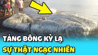 💥TẢNG BÔNG TRẮNG KỲ LẠ bên bờ biển và SỰ THẬT khiến mọi người ngạc nhiên | TIN GIẢI TRÍ