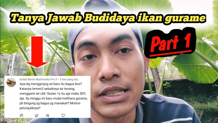 TANYA JAWAB BUDIDAYA IKAN GURAME - Part 1 || Putra Gurame