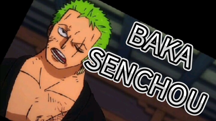 BAKA SENCHOU !!!
